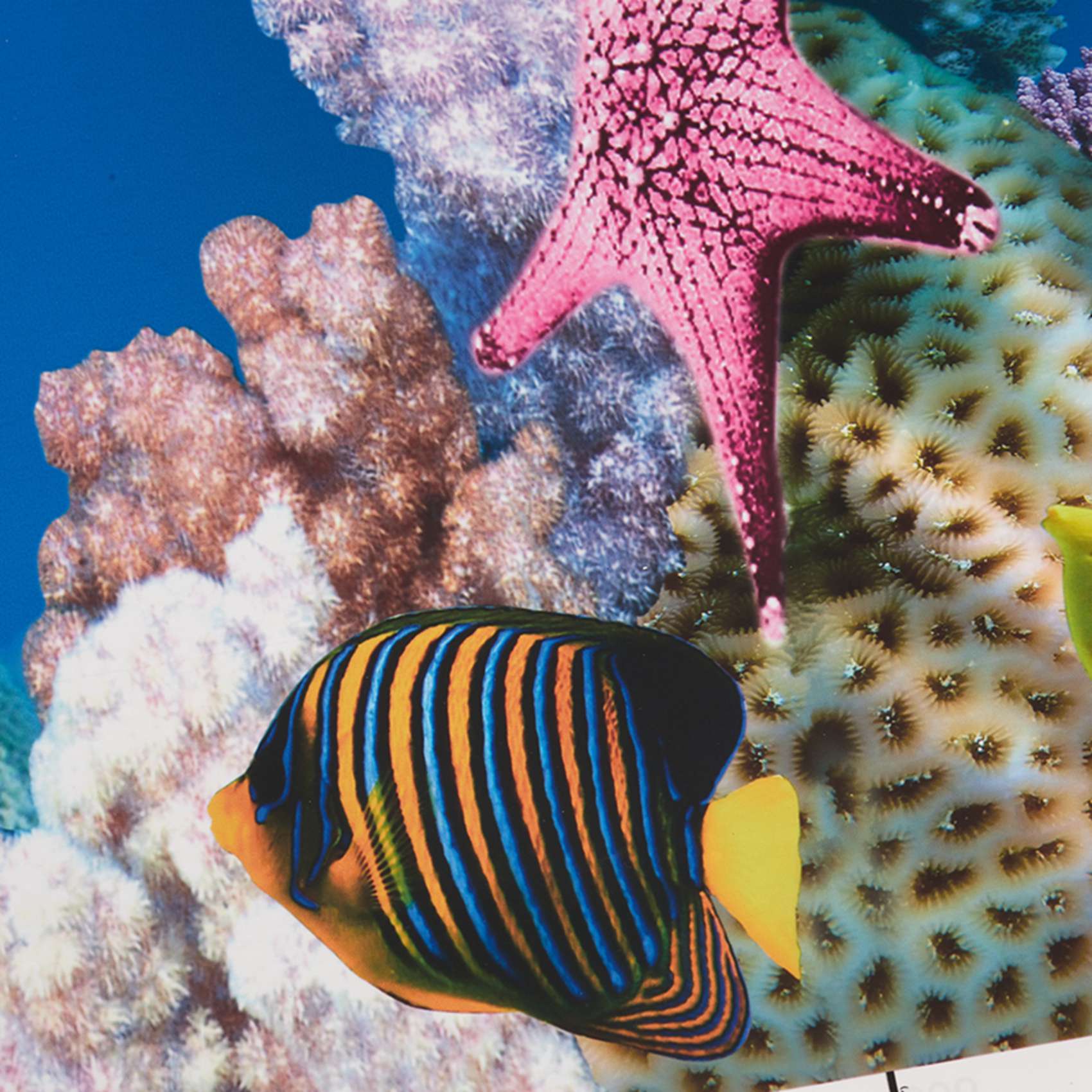 Aquarium Fish Wallpaper Hd - Papier tło do akwarium ABWR, obraz