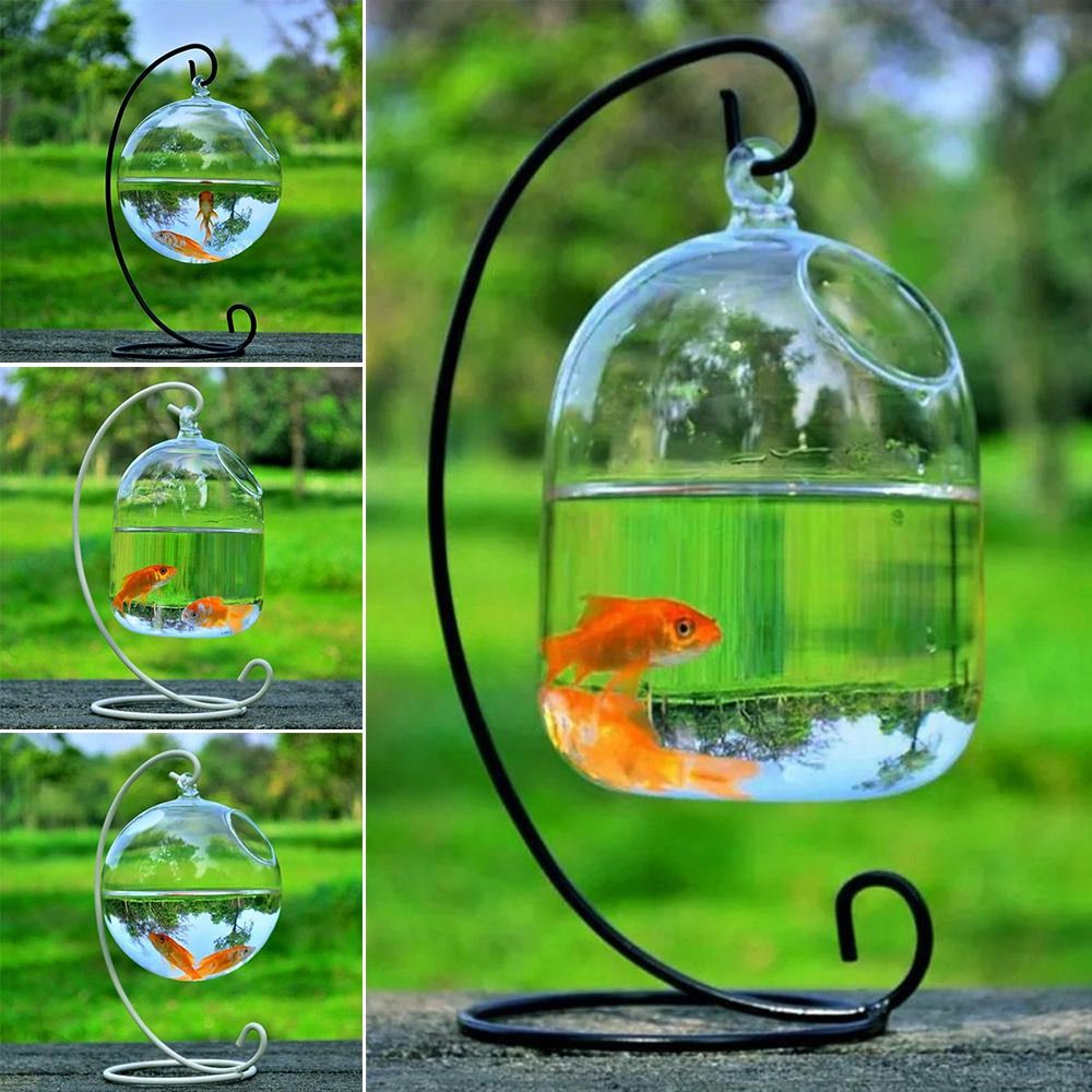Aquarium Fish Names - Dekoracja do akwarium, wisząca na ścianie