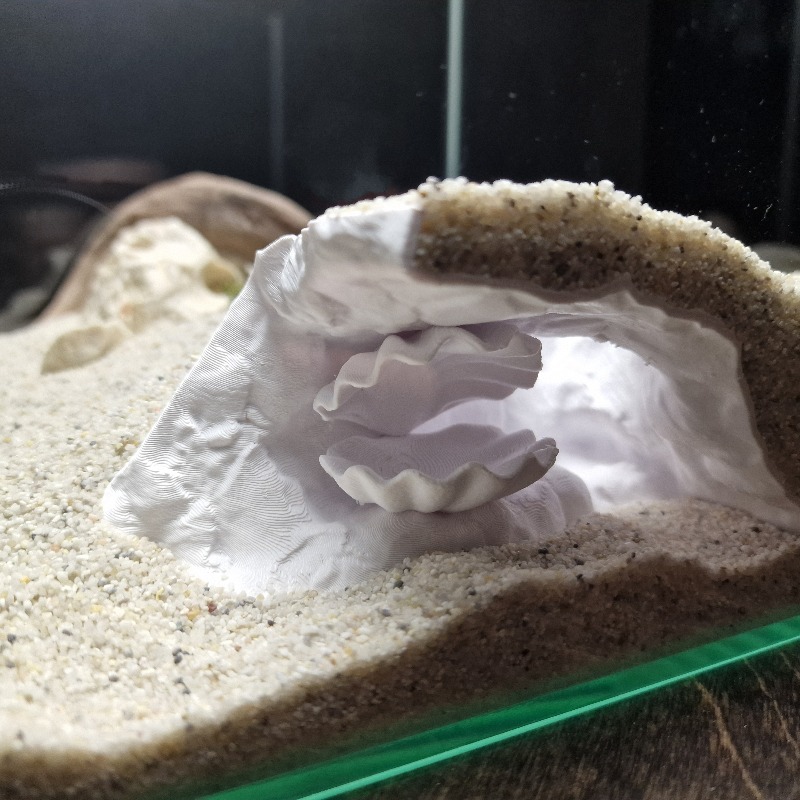 Aquarium Fish Hide - Ukryta jaskinia do akwarium z drukowanym