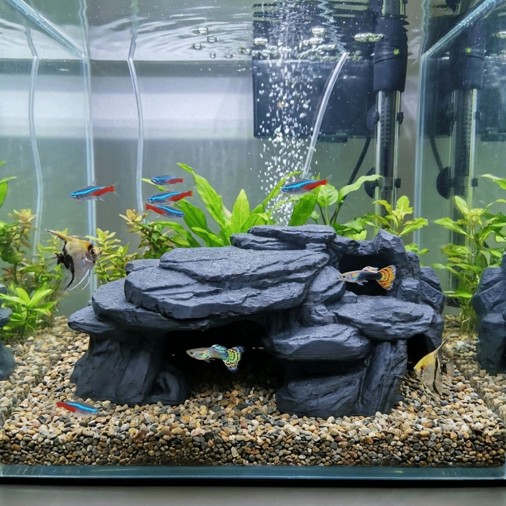 Ozdoby do akwarium z nadrukiem – Aquarium Fish Hide recenzja i cena