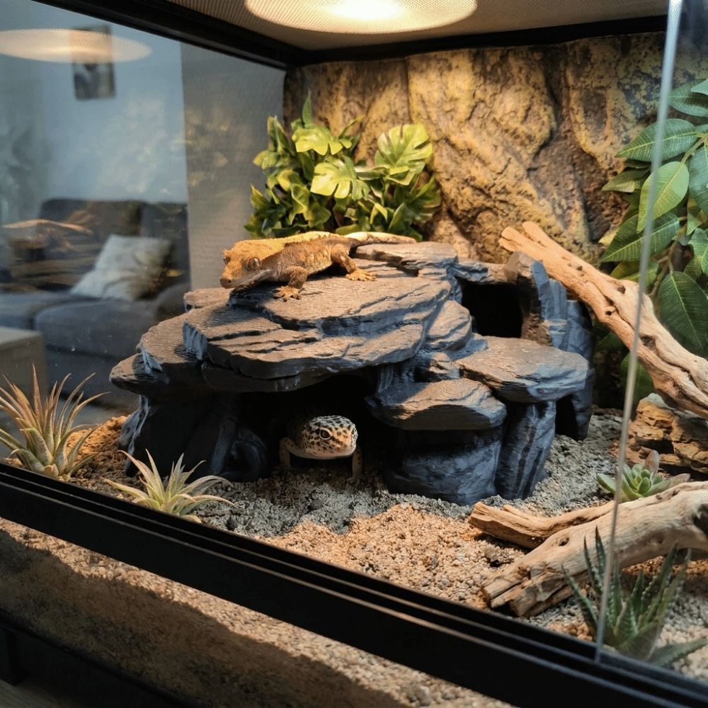 Ozdoby do akwarium z nadrukiem – Aquarium Fish Hide recenzja i cena