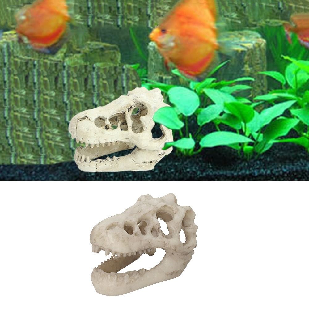 Kreatywna symulacja czaszki di – Aquarium Fish Hide recenzja i cena