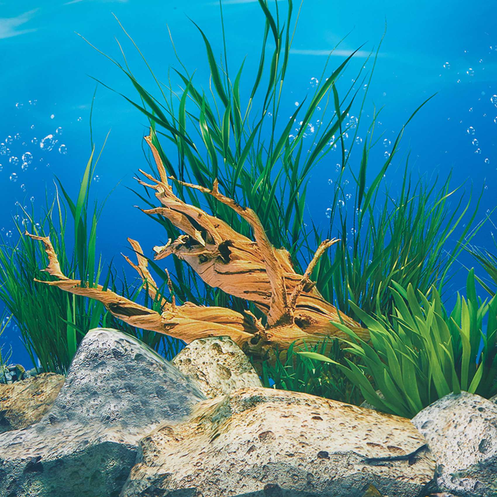 AB33 - Arkusz tła do akwarium  – Aquarium Fish Wallpaper Hd recenzja i cena