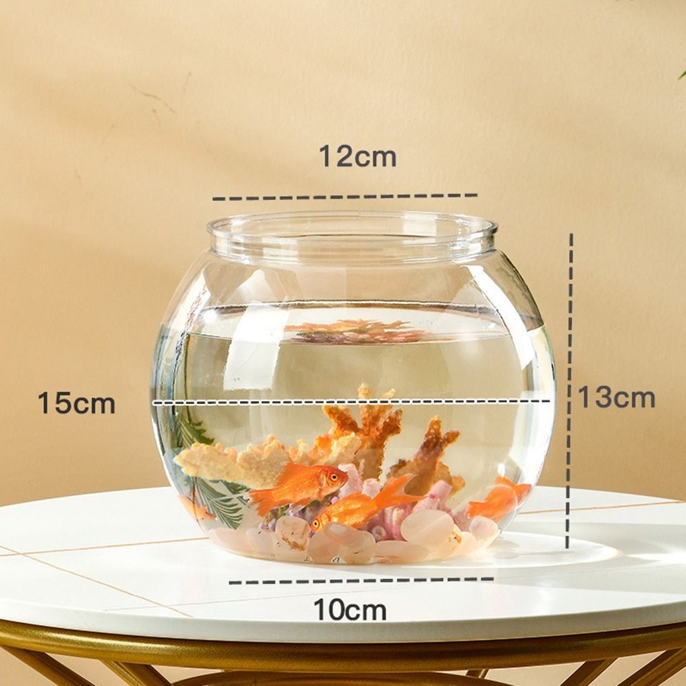 Akwarium Domowe Przezroczyste  – Aquarium Fish Names recenzja i cena