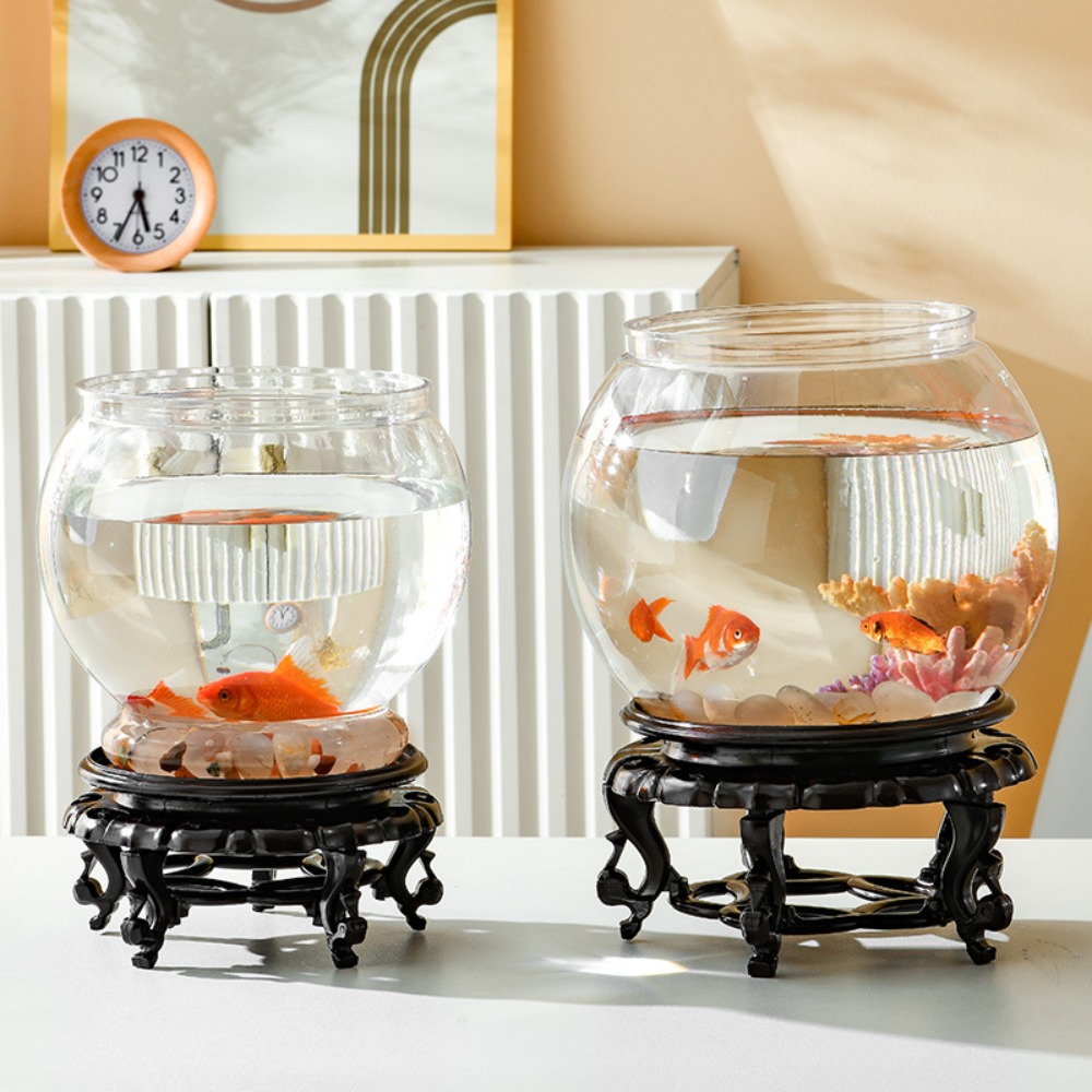 Akwarium Domowe Przezroczyste  – Aquarium Fish Names recenzja i cena