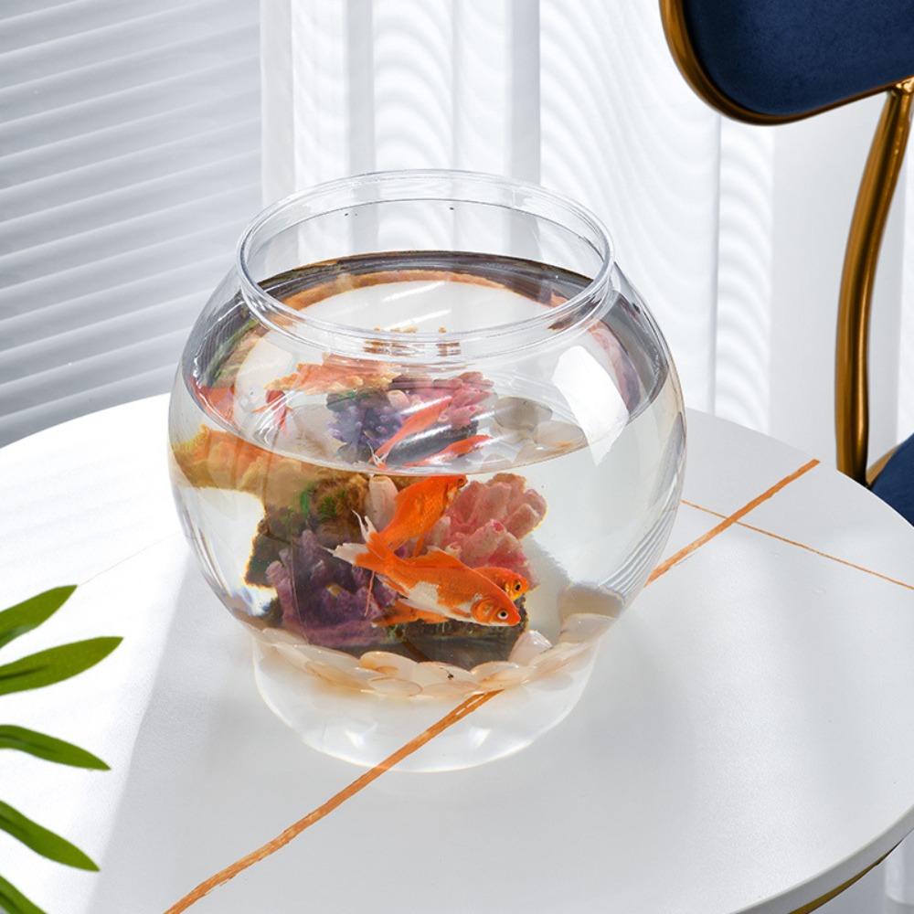 Akwarium Domowe Przezroczyste  – Aquarium Fish Names recenzja i cena