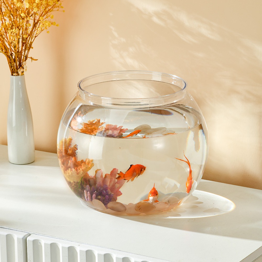 Akwarium Domowe Przezroczyste  – Aquarium Fish Names recenzja i cena