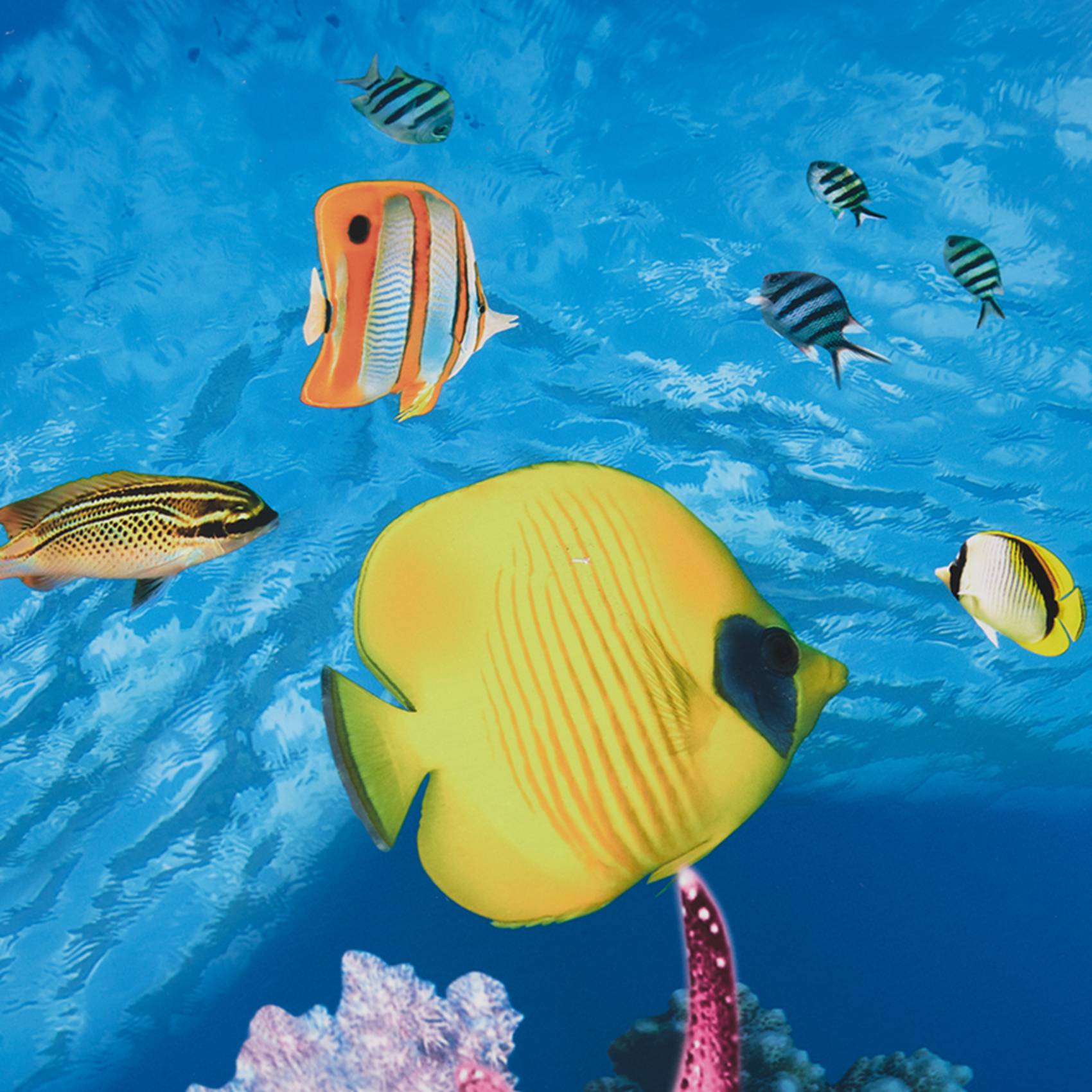 Papier tło do akwarium ABWR, o – Aquarium Fish Wallpaper Hd recenzja i cena