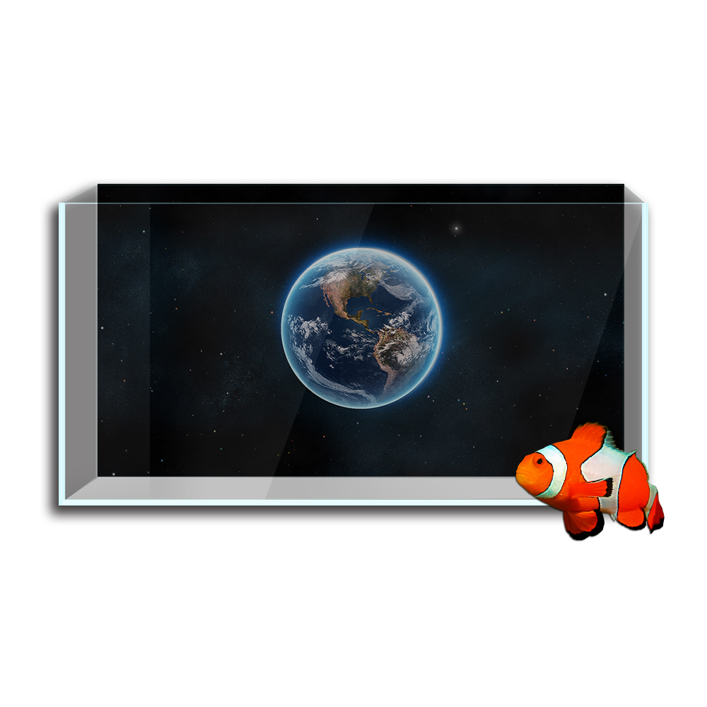 Naklejka w tle akwarium, plane – Aquarium Fish Wallpaper Hd recenzja i cena