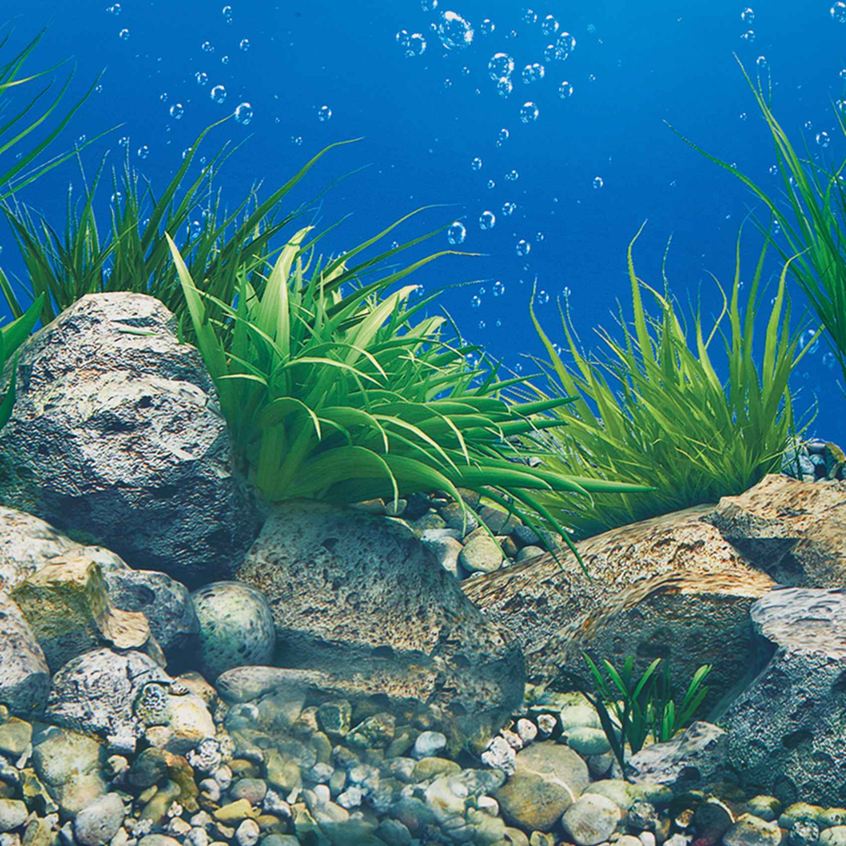 A77I Papier do dekoracji akwar – Aquarium Fish Wallpaper Hd recenzja i cena