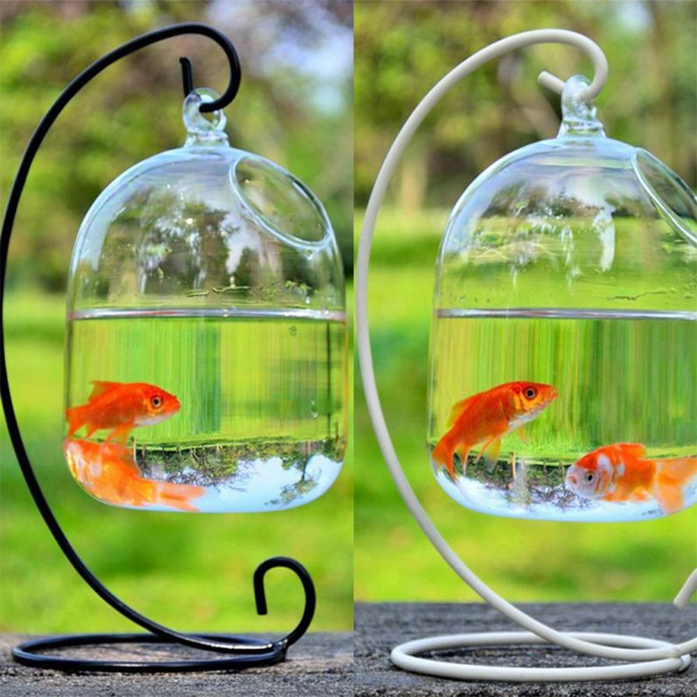 Dekoracja do akwarium, wisząca – Aquarium Fish Names recenzja i cena