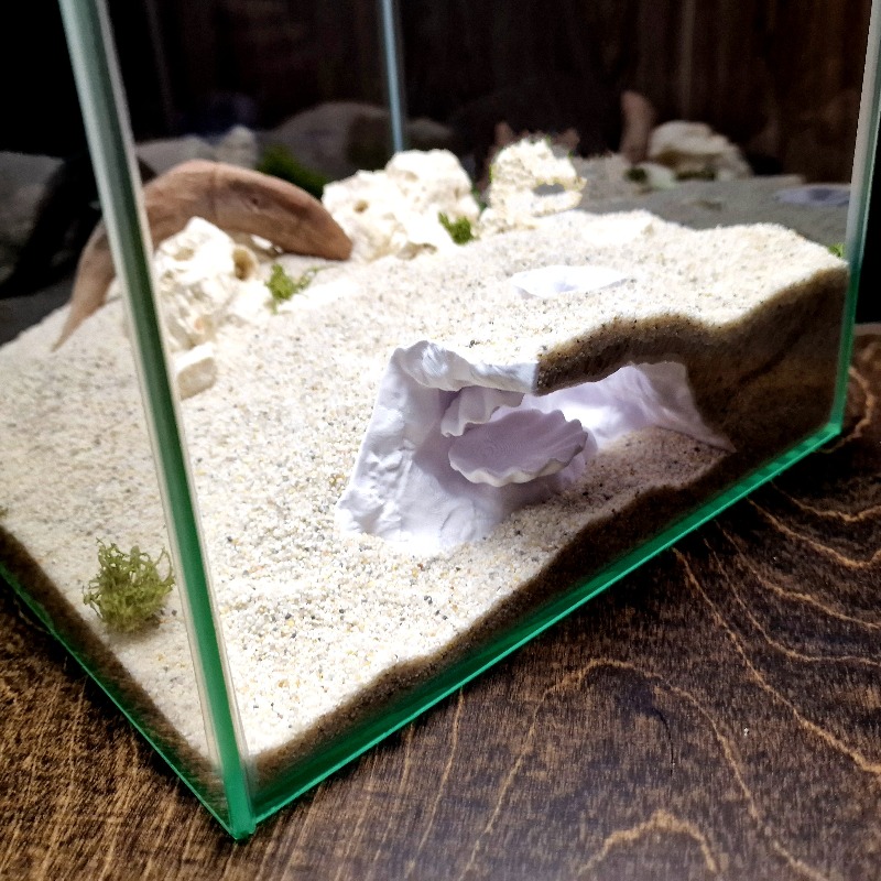 Ukryta jaskinia do akwarium z  – Aquarium Fish Hide recenzja i cena