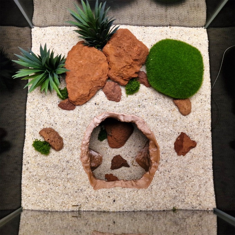 Ozdoba do akwarium w kształcie – Aquarium Fish Hide recenzja i cena