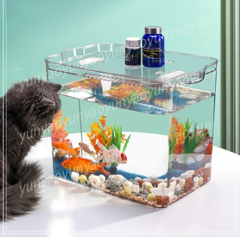 Akwarium samooczyszczające się – Aquarium Fish Supplier recenzja i cena
