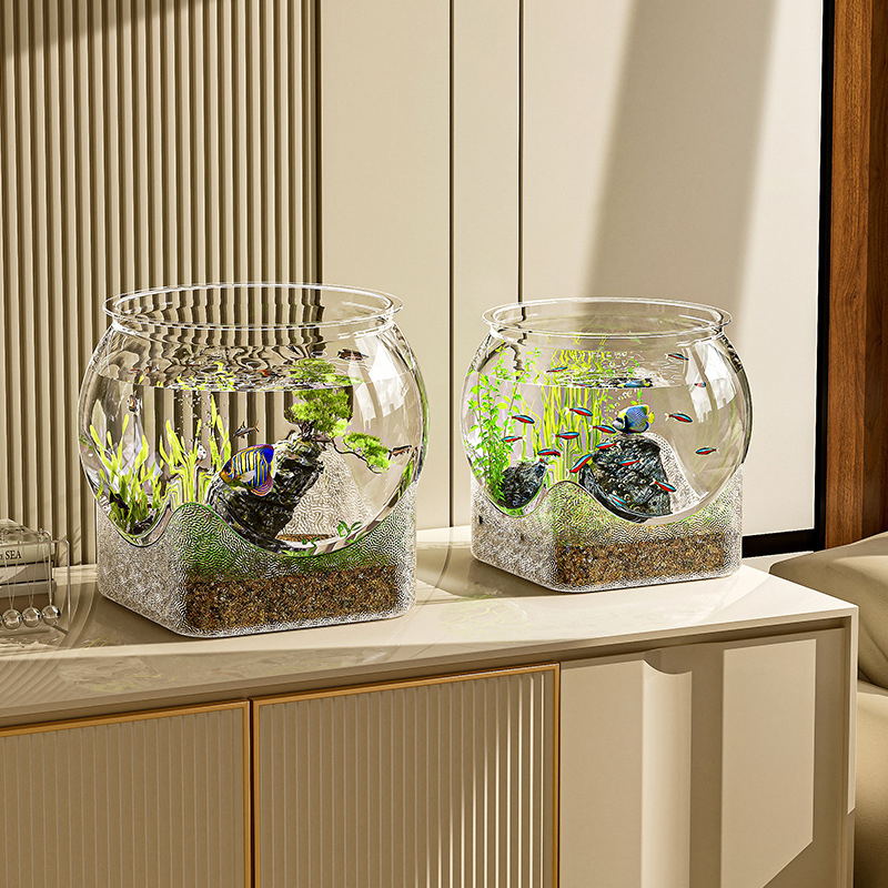 Akwarium Rybka Przezroczyste O – Aquarium Fish Names recenzja i cena
