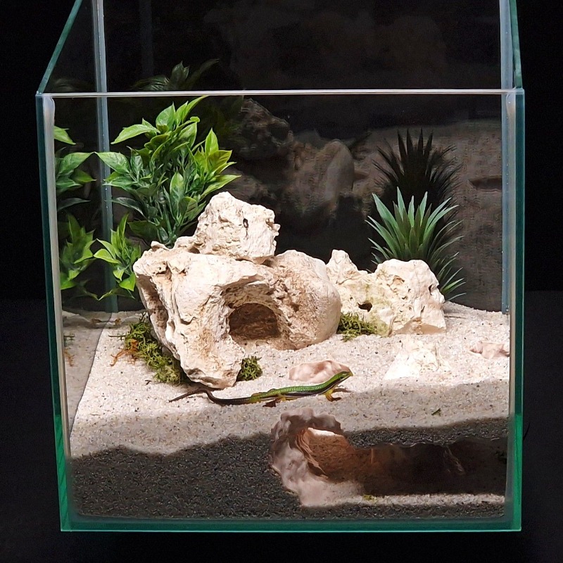 Drukowane w 3D tunelowe schron – Aquarium Fish Hide recenzja i cena