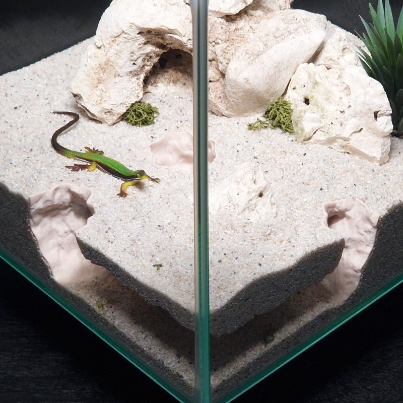 Drukowane w 3D tunelowe schron – Aquarium Fish Hide recenzja i cena