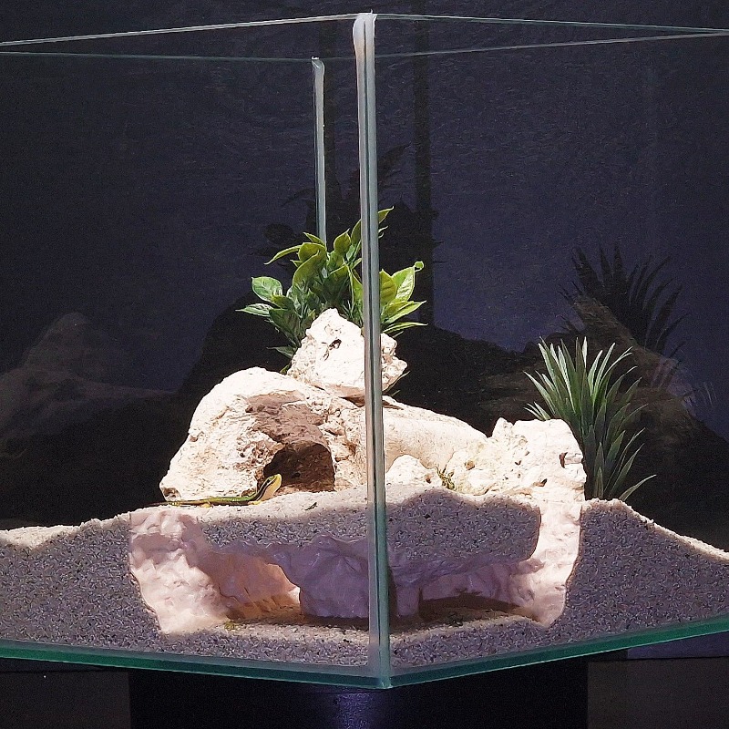 Drukowane w 3D tunelowe schron – Aquarium Fish Hide recenzja i cena