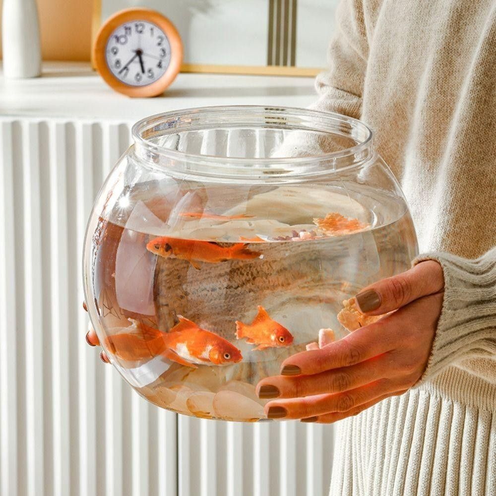 Nowe Przezroczyste Akwarium Ok – Aquarium Fish Names recenzja i cena