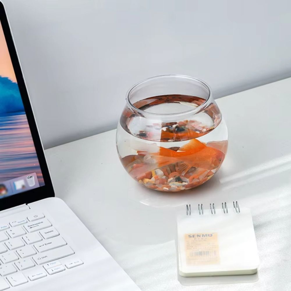 Nowe Przezroczyste Akwarium Ok – Aquarium Fish Names recenzja i cena