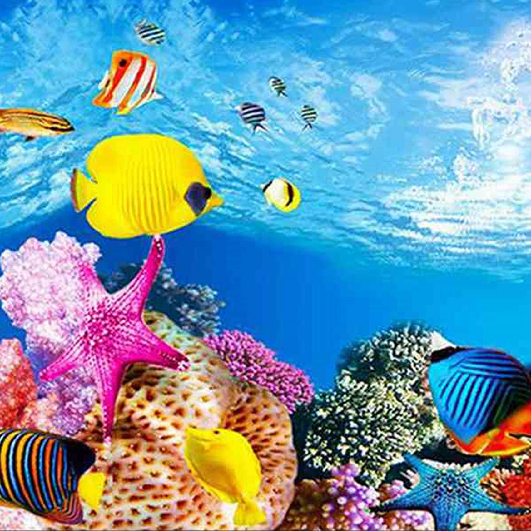 Papier tło do akwarium AS94 HD – Aquarium Fish Wallpaper Hd recenzja i cena